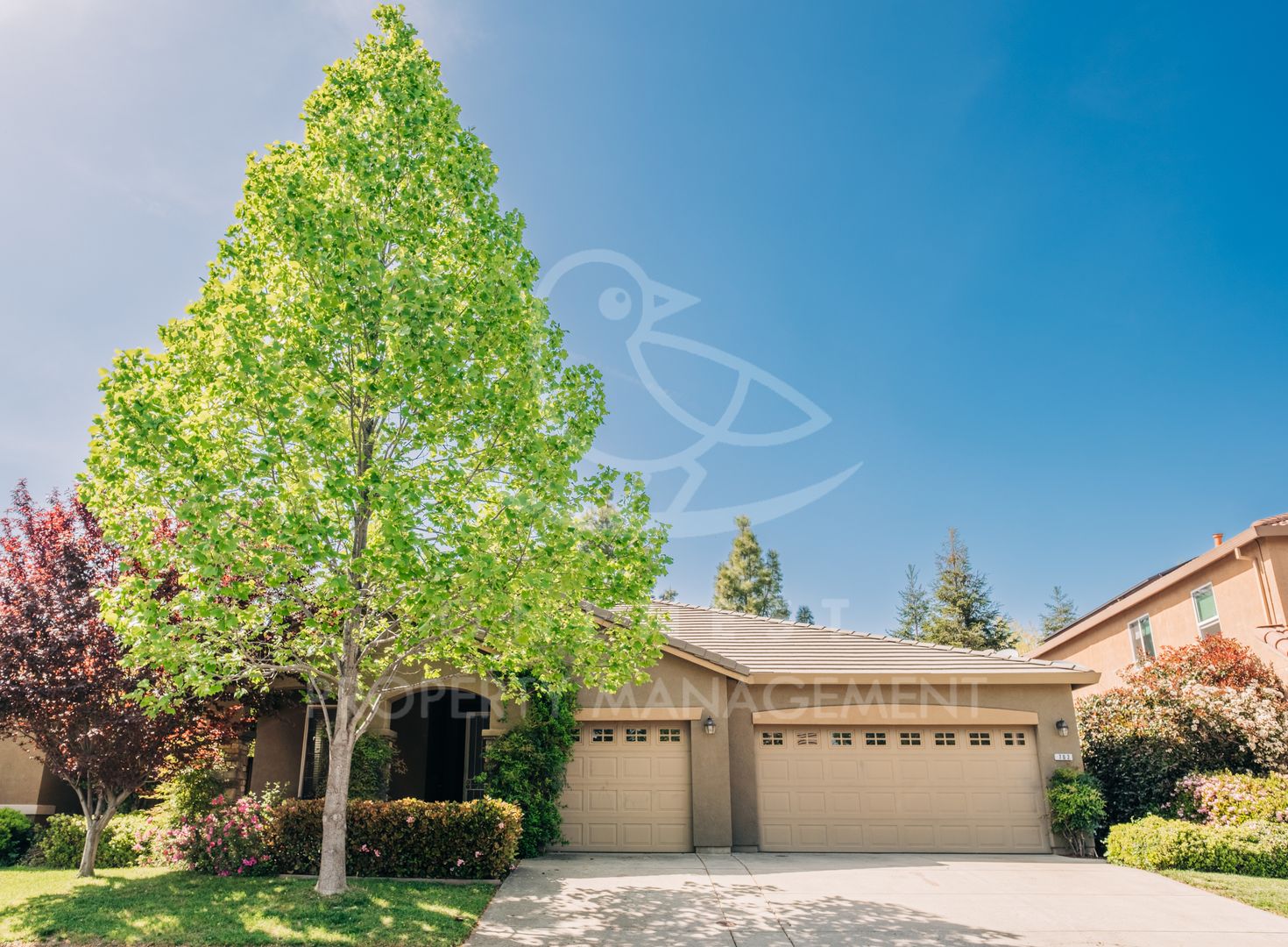 Lincoln House: 702 Farrington Lane