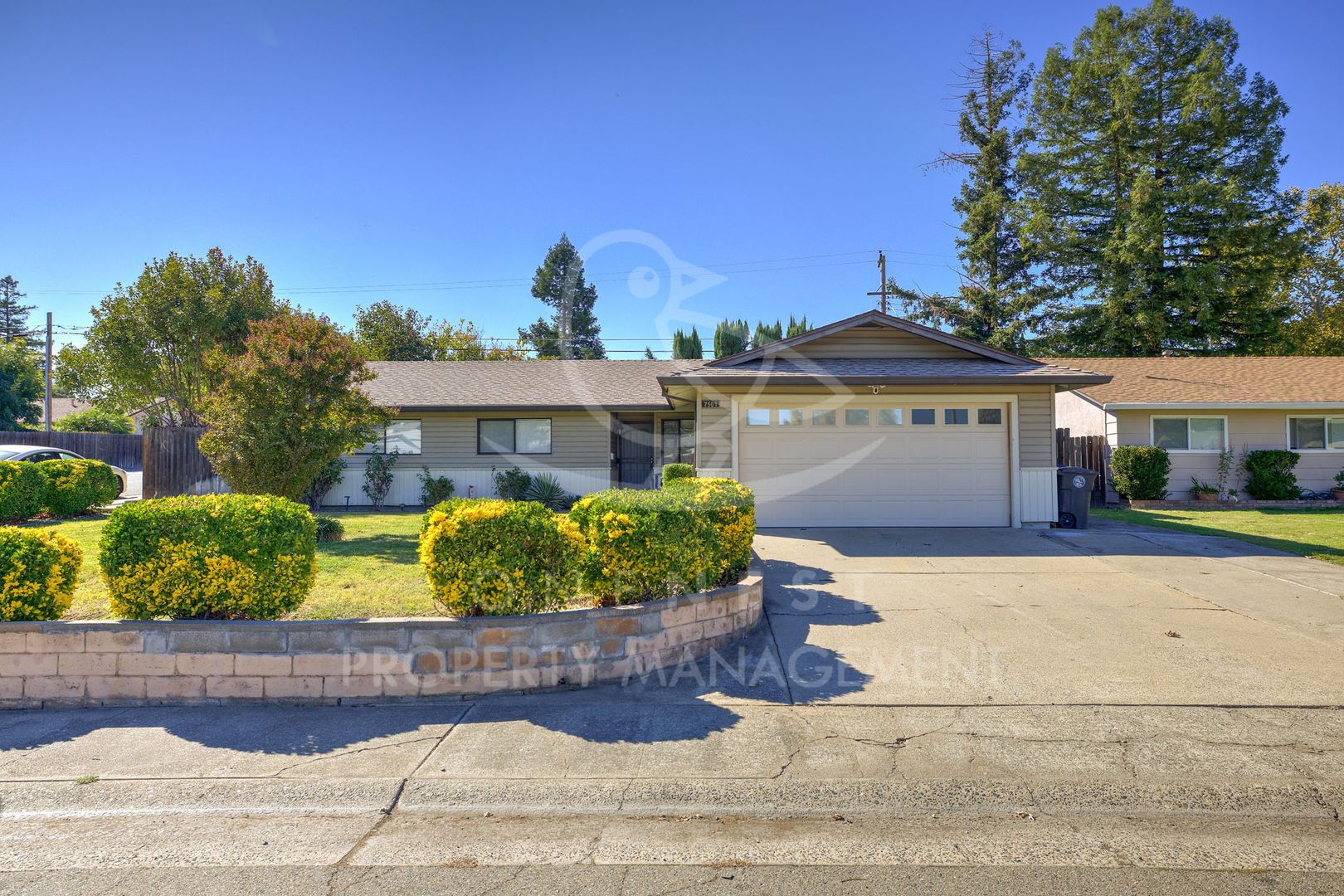 Citrus Heights House: 7501 Saybrook Drive