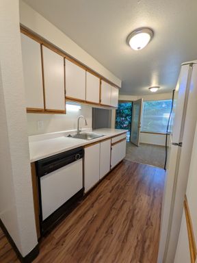 Treehill Commons | Top Floor 1Bed/1Bath with W/D in unit! | MOVE IN READY! – photo 1