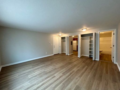Beautiful Studio Apartment In Quiet Pinehurst Neighborhood – photo 1