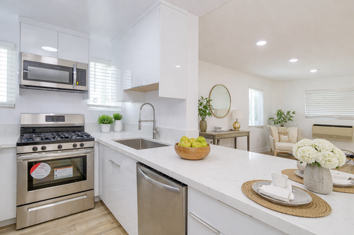 fully remodeled 1-bedroom apartment – photo 1