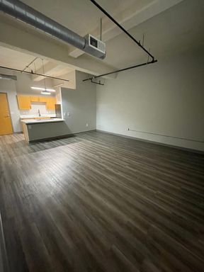 Beautiful Spacious One Bedroom Loft – photo 1