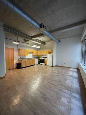 Beautiful Spacious One Bedroom Loft – photo 1
