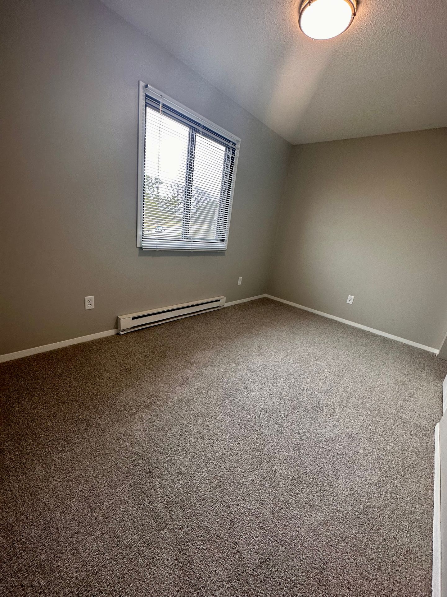 1221 Maplewood Drive, 05, Cedar Falls, IA 50613