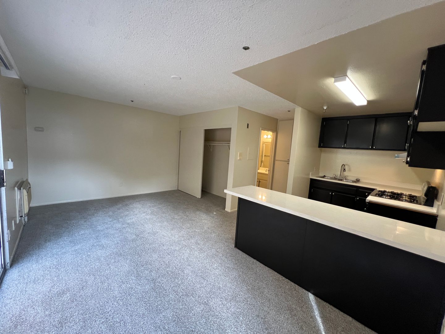 Santa Ana Apartment: 1417 N Durant Street