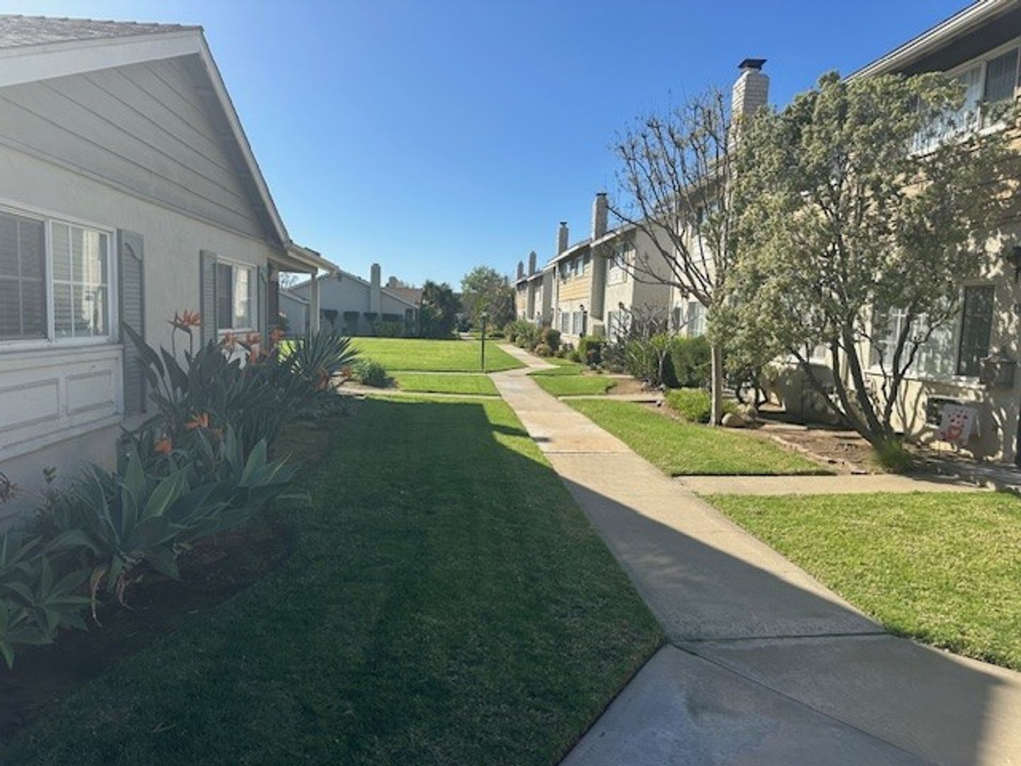 Orange House: 1201 N California Street -#16