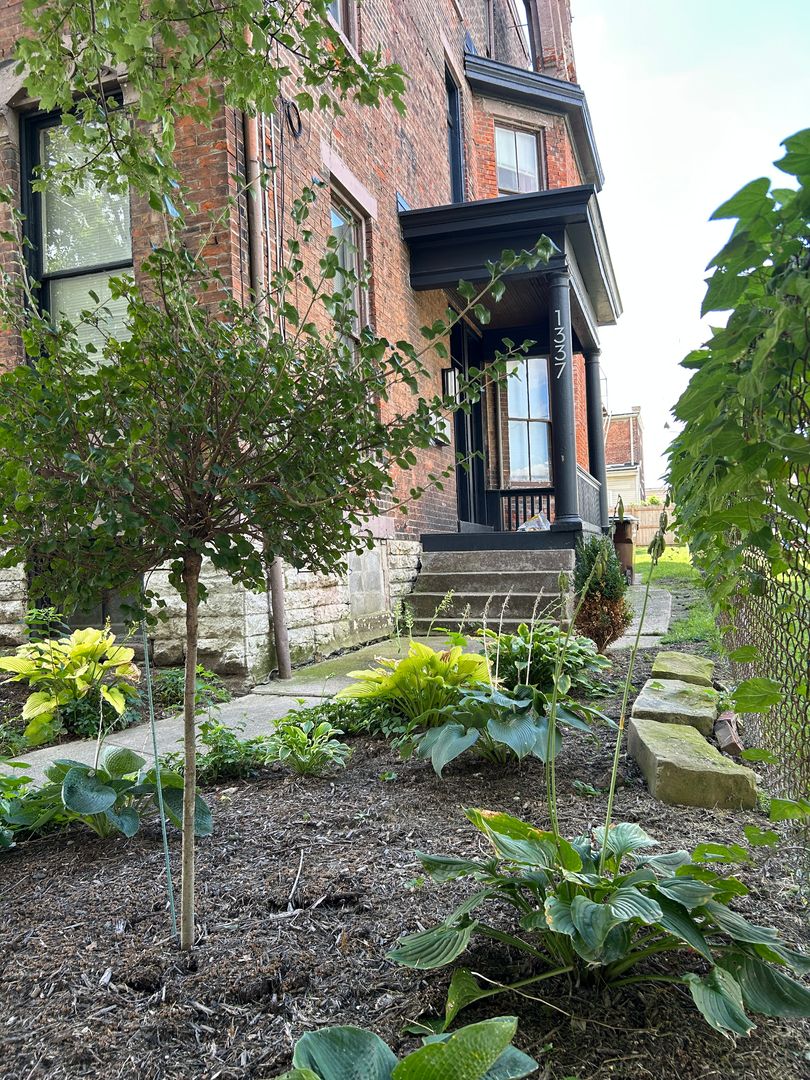 Covington Apartment: 1337 Scott St.