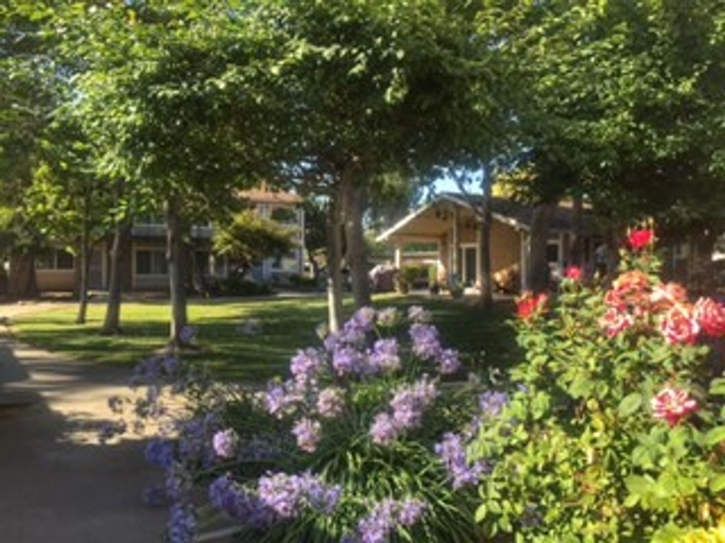 Morgan Hill Apartment: 260 Berry Court