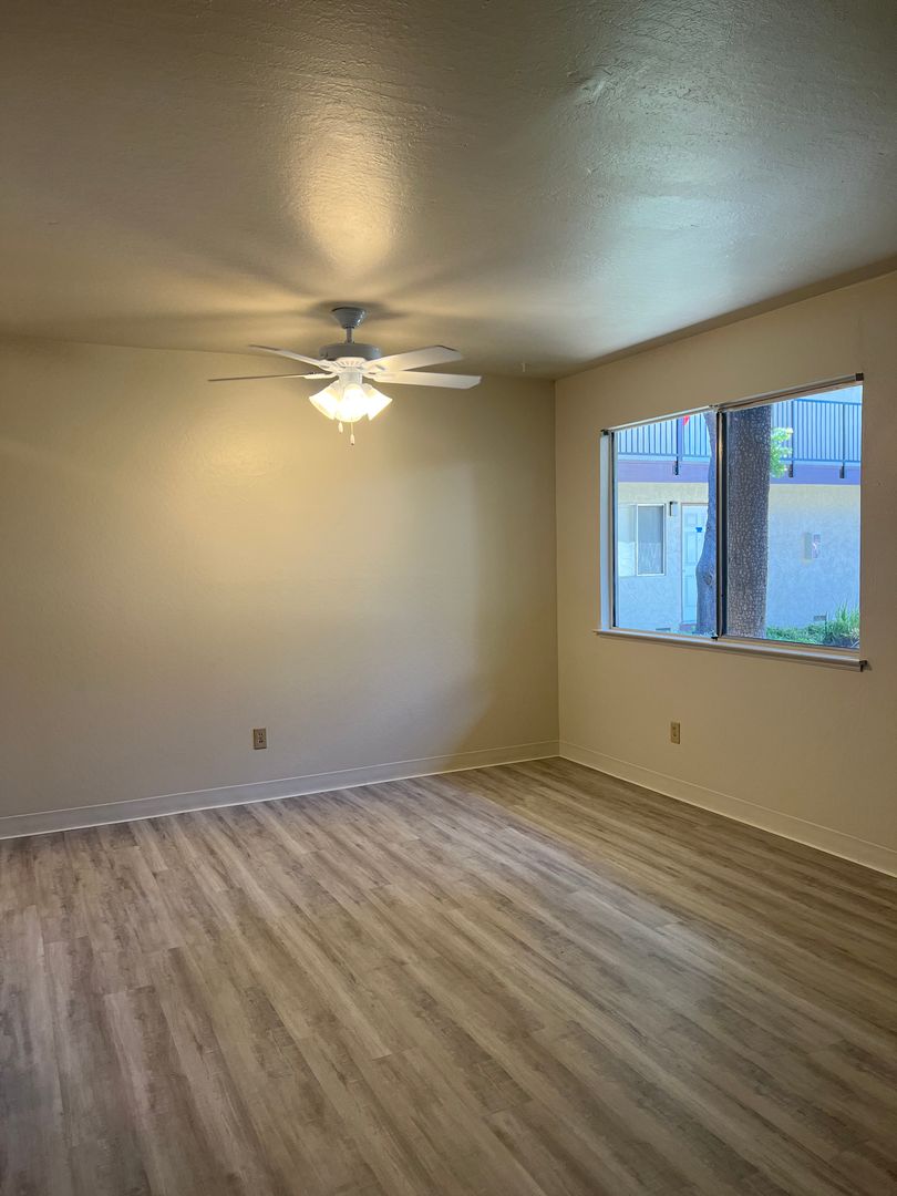 Campbell Apartment: 178 Echo Avenue