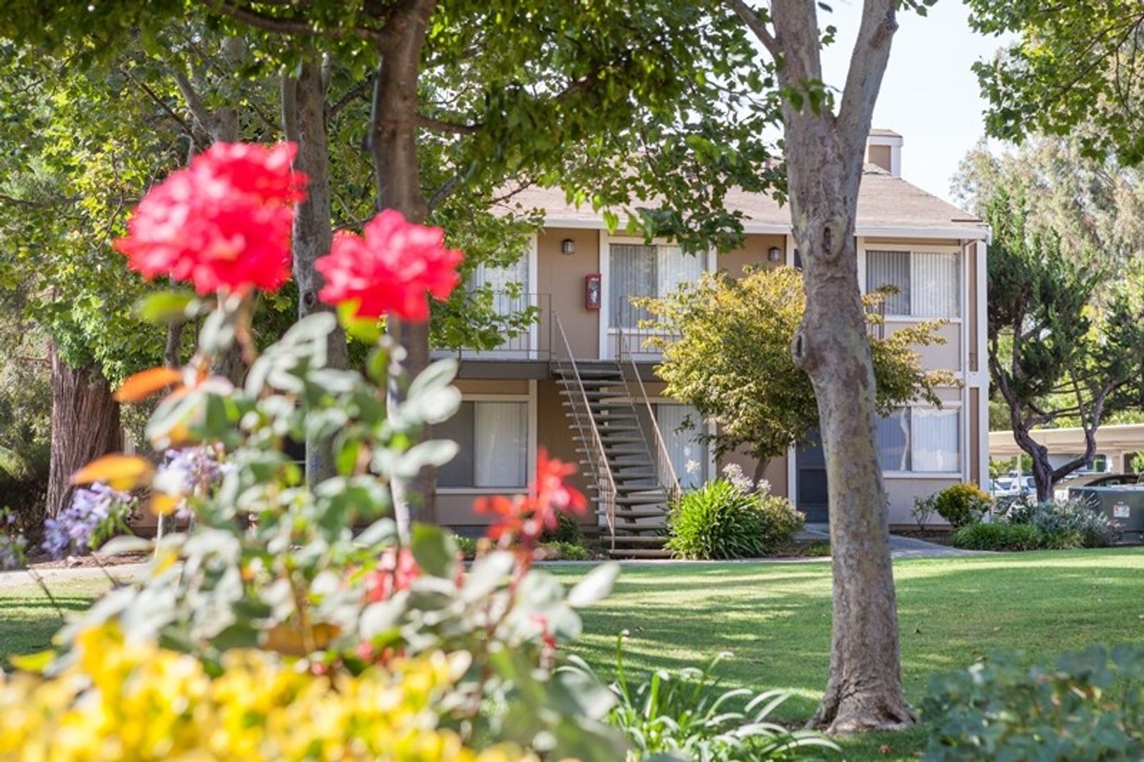 Morgan Hill Apartment: 260 Berry Court