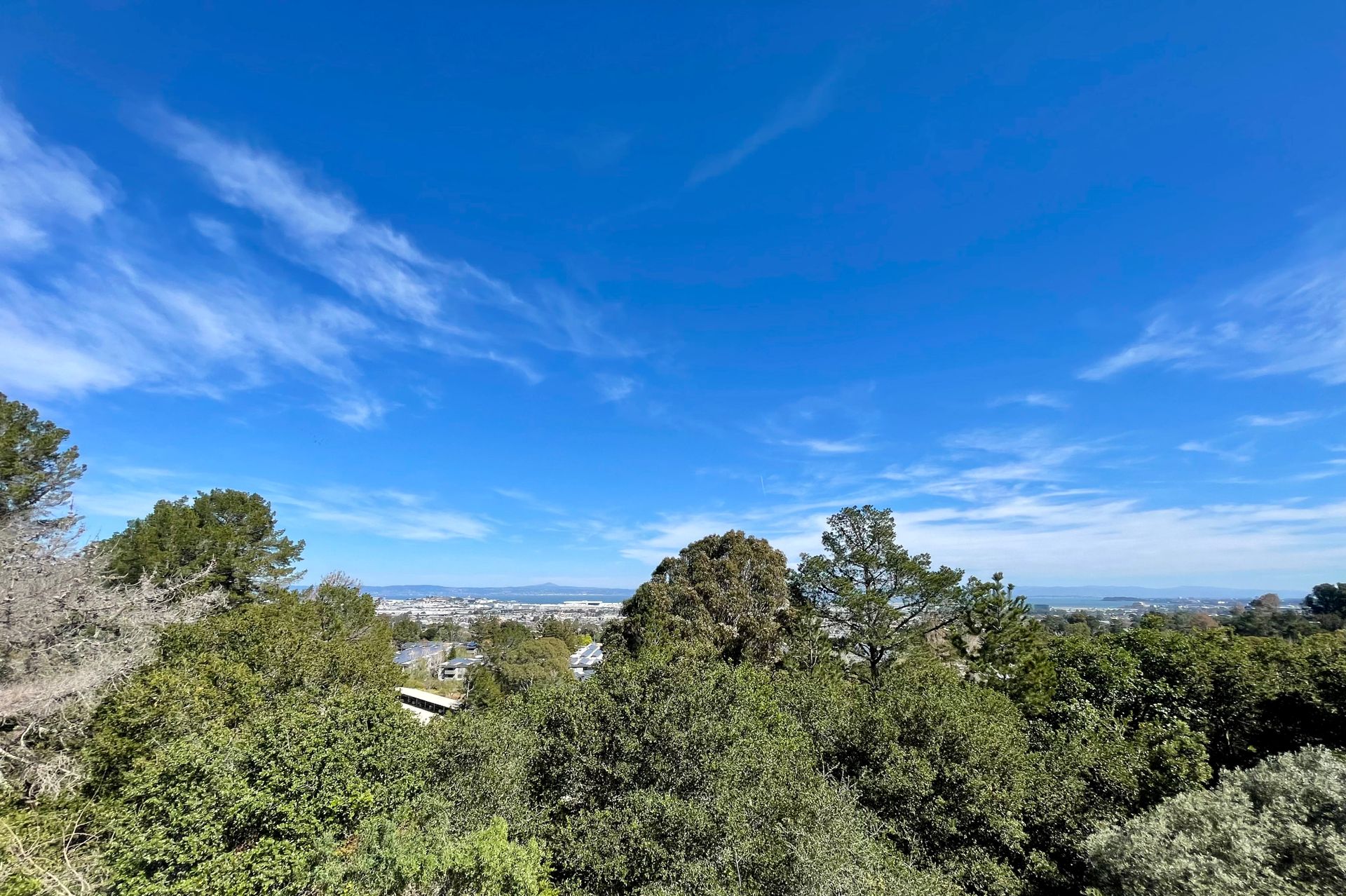 San Bruno Apartment: 2221 Princeton Drive