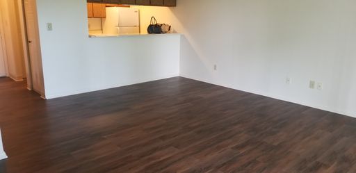 2 Bedroom 2 Bath All Vinyl – photo 1