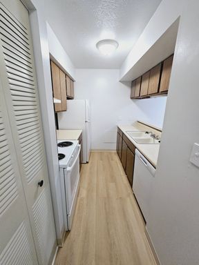 2 Bedroom 2 Bathroom All Vinyl Floor – photo 1