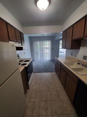 2 Bedroom 1 Bath Apartment New Carpet – photo 1