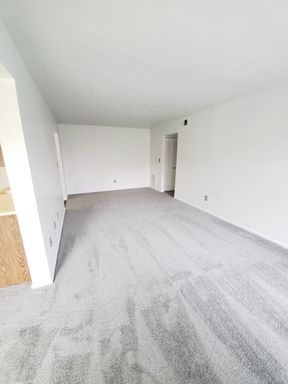 2 bedroom 1 Bathroom Apartment New Carpet – photo 1