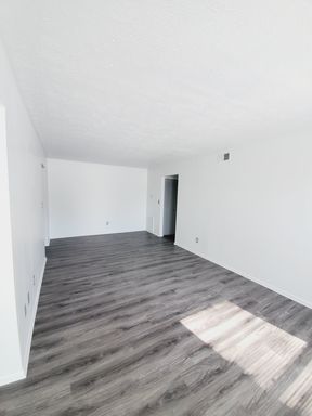2 Bedroom 1 Bath All Vinyl – photo 1