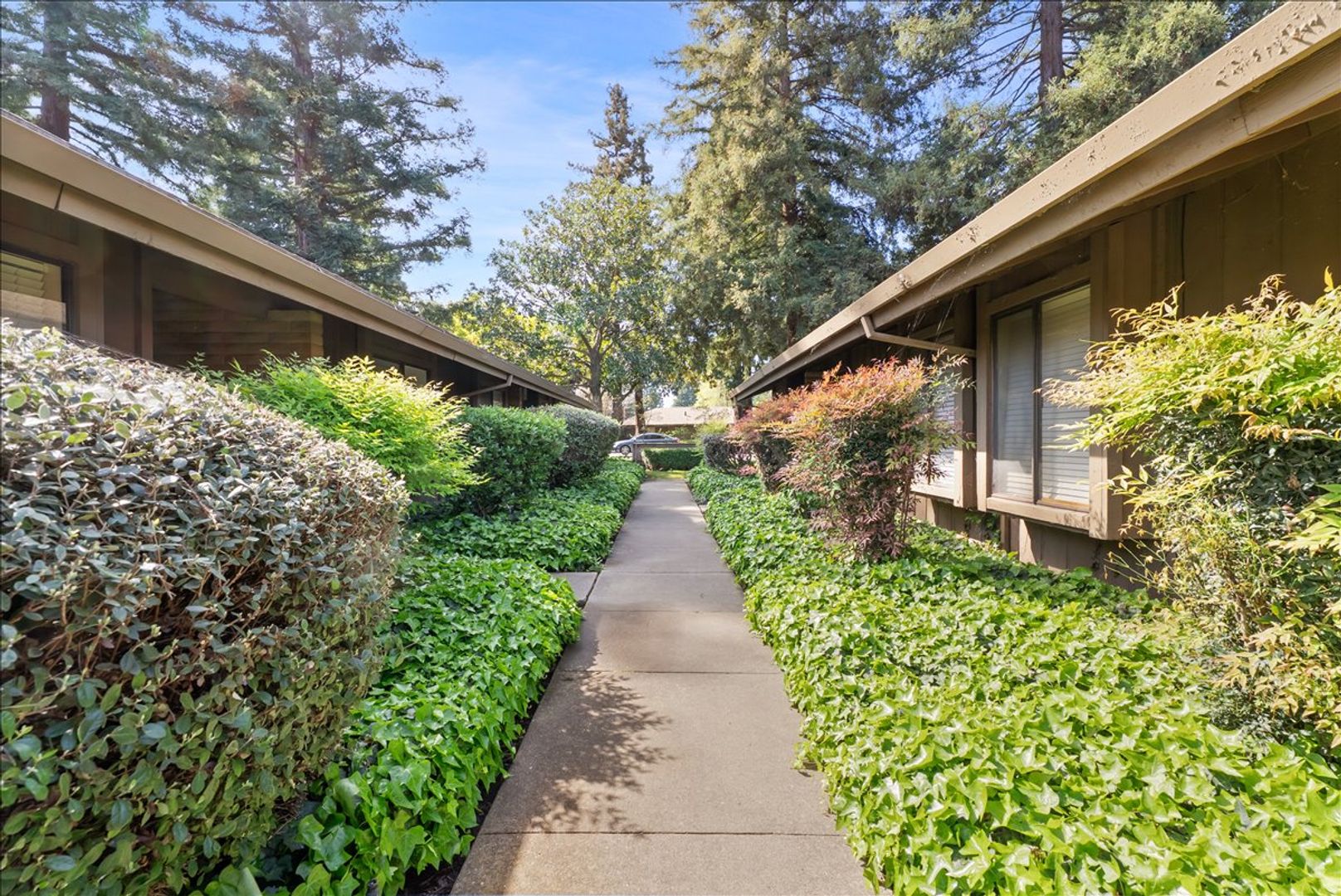 Sacramento Multiplex: 2489 / 2491 American River Dr