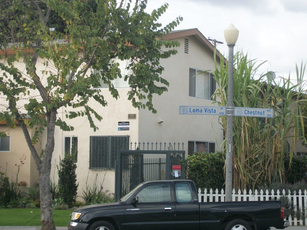LONG BEACH Apartment: 1259 N. LOMA VISTA DR.