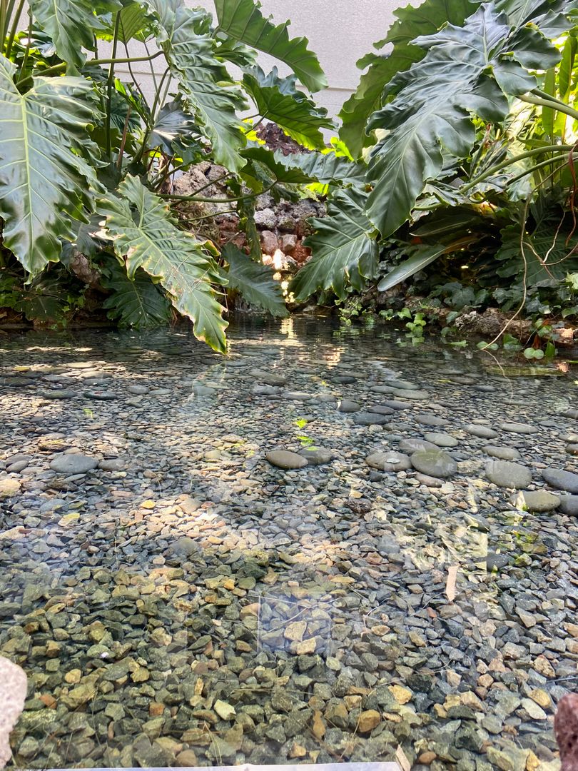 Tustin Apartment: 15601 Tustin Village Way