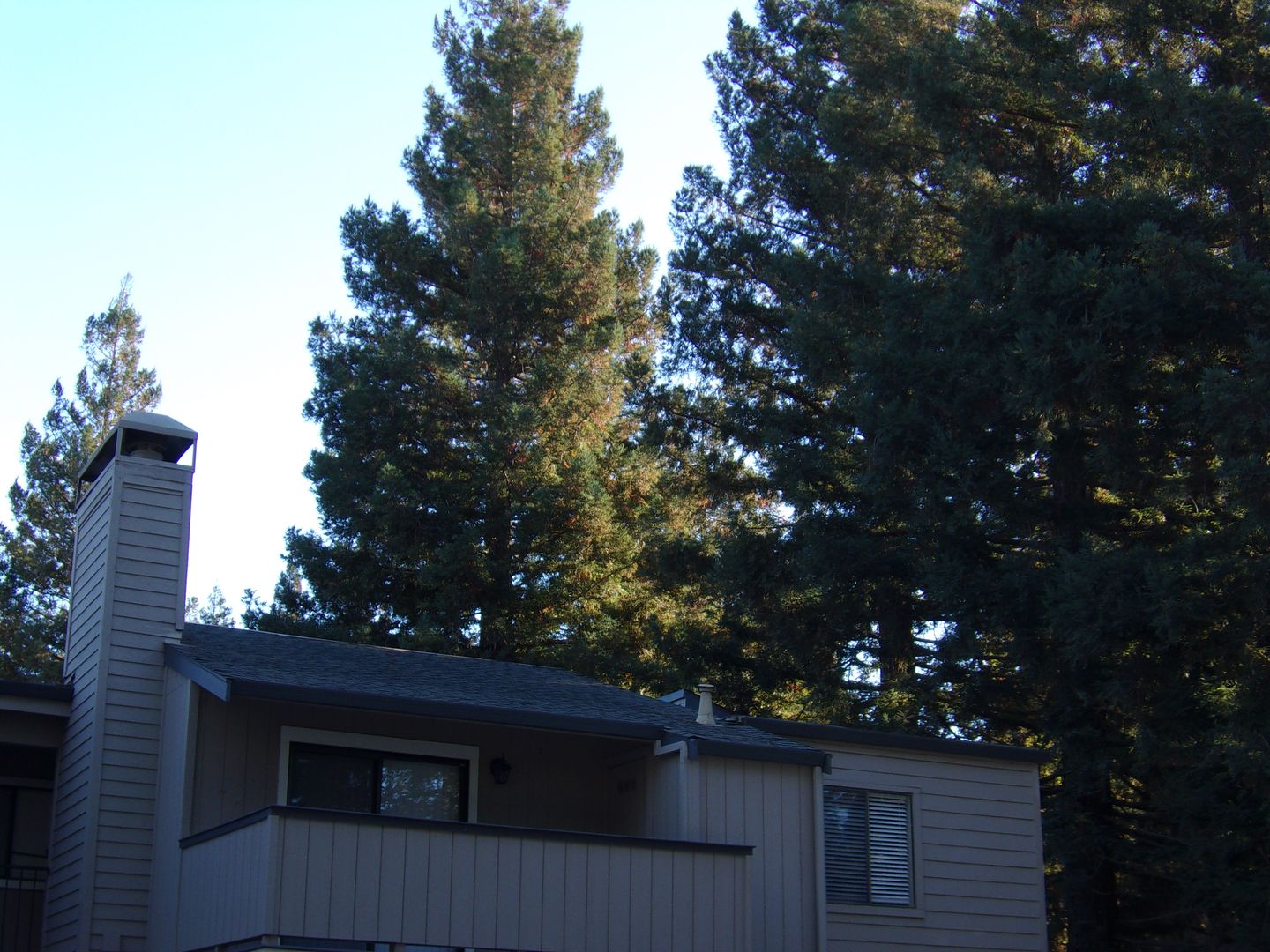 Sacramento Apartment: 7134 Gloria Dr