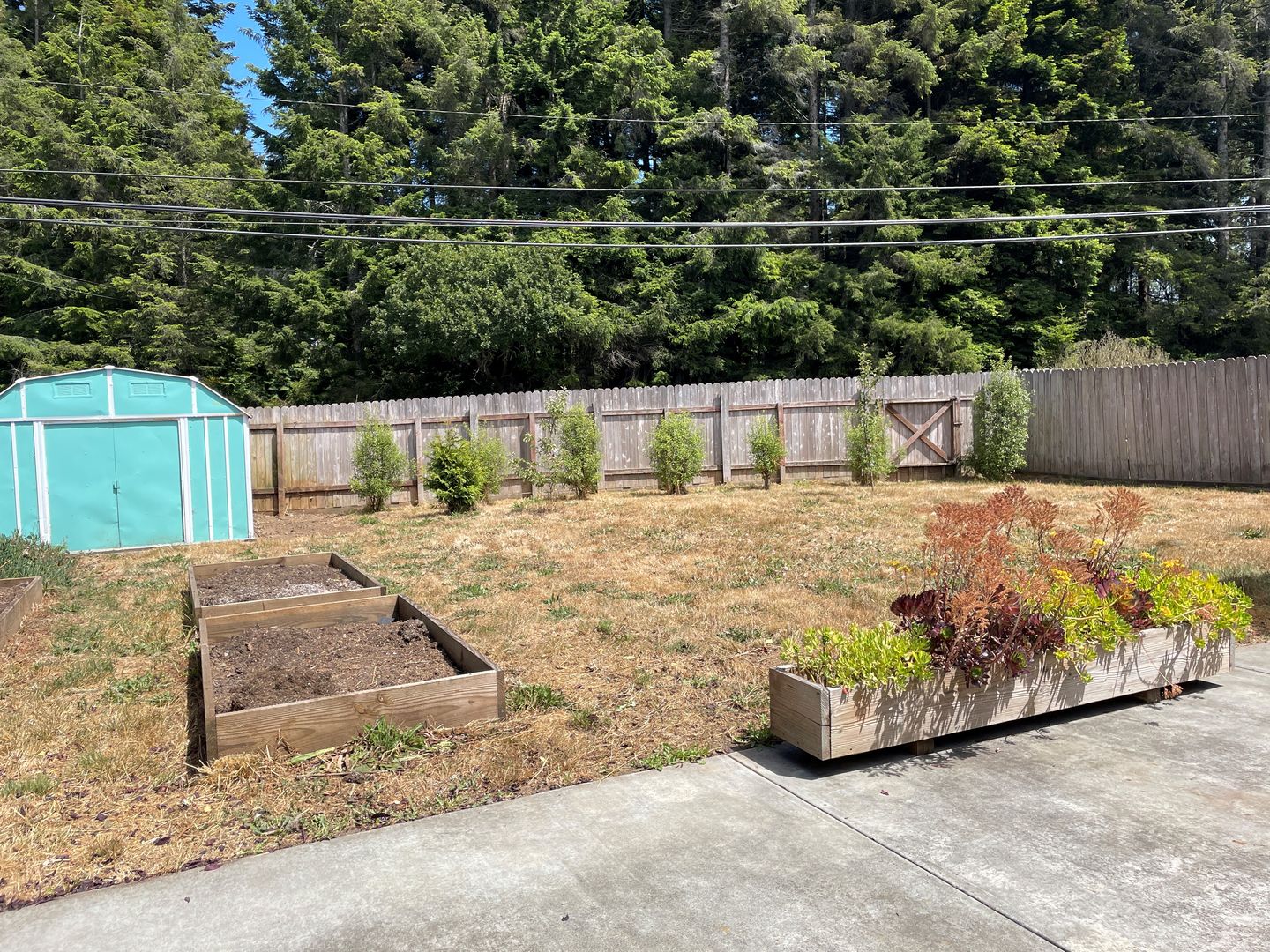 Eureka House: 4751 Scott Way