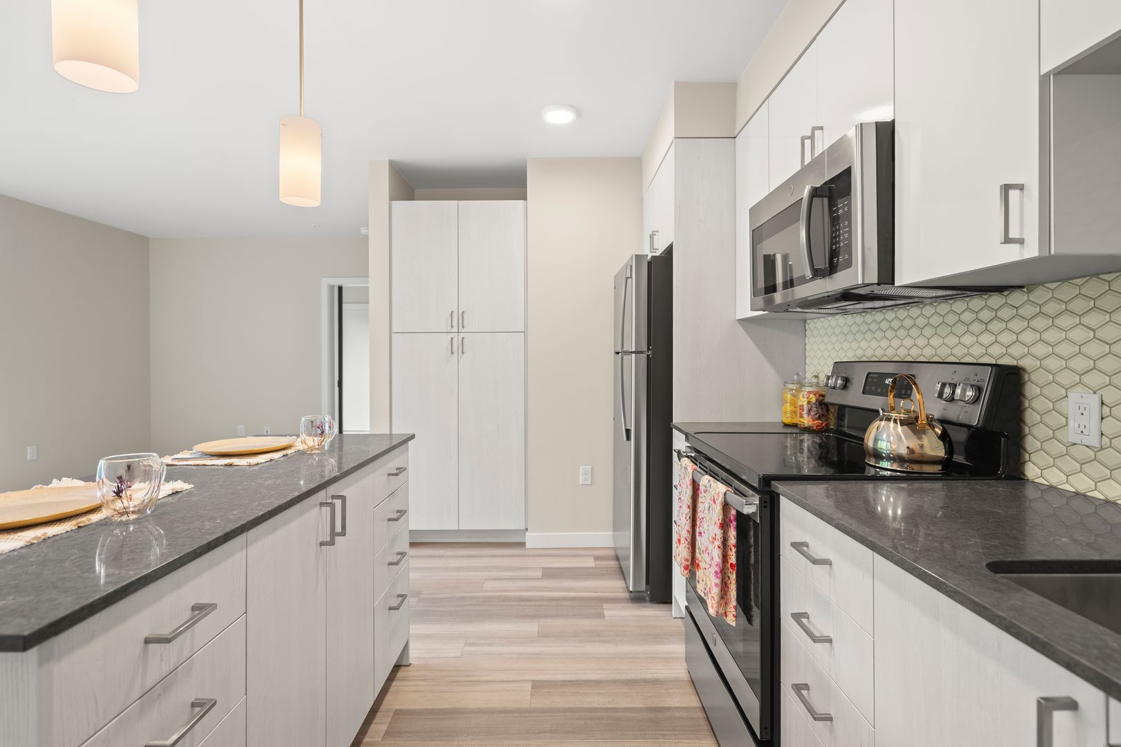 Seattle Apartment: 1600 Dexter Ave N