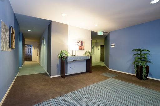 Beautiful 1 Bedroom + Den Apartment near Greenlake! – photo 1