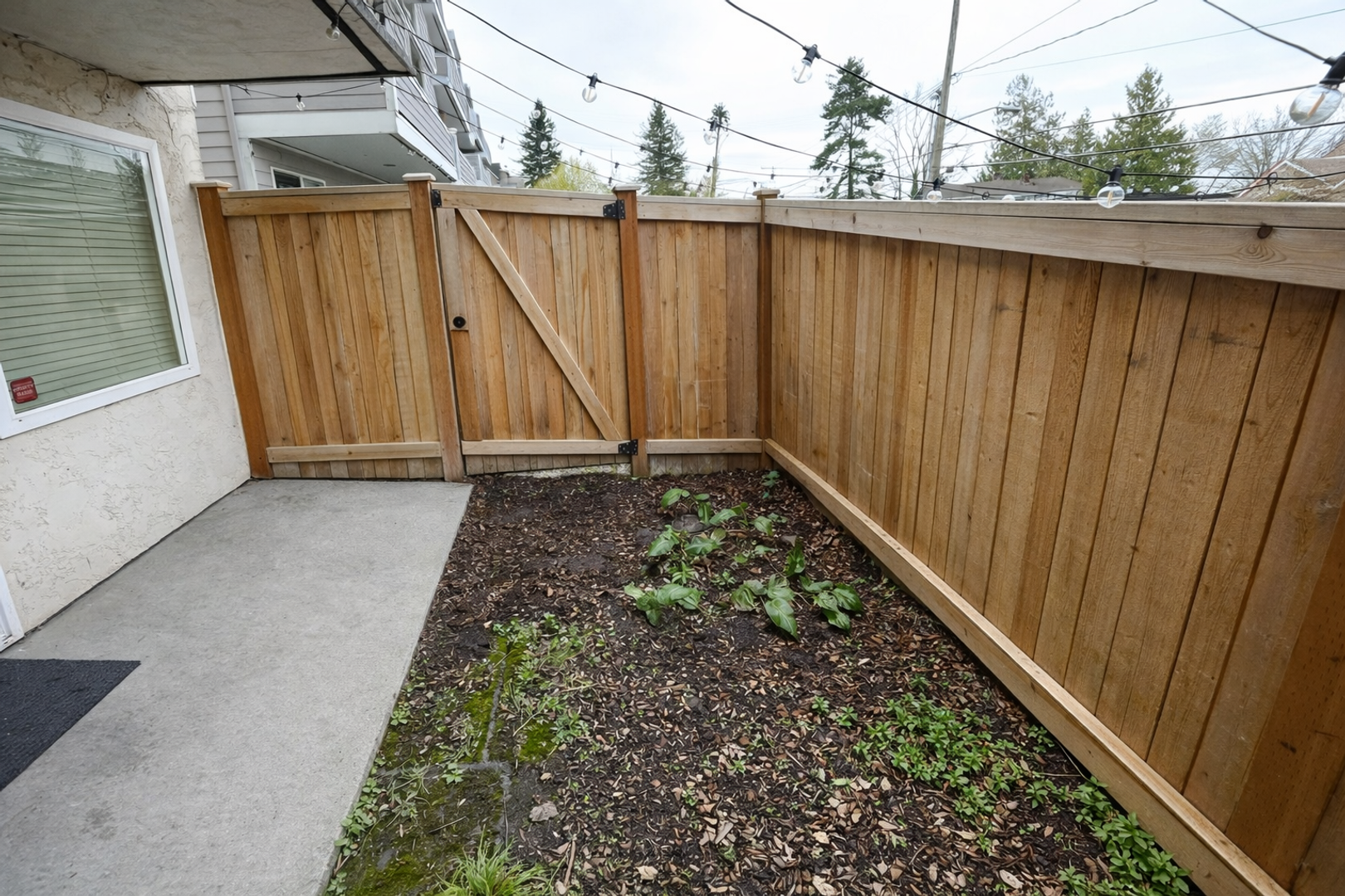 Seattle Apartment: 3050 14th Ave W