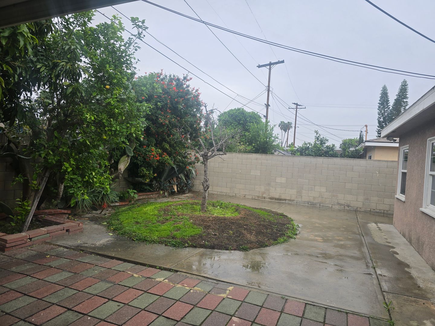 Anaheim Apartment: 2529 W Glenhaven Ave