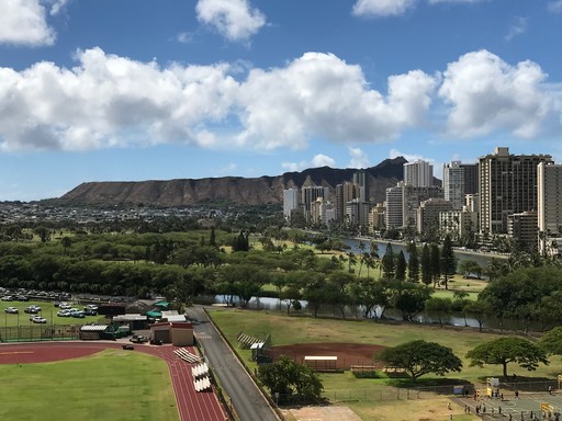 Kaimana Lanais 1 Bdrm., 1 bath, 1 Pkg., Washer/dryer in unit – photo 1