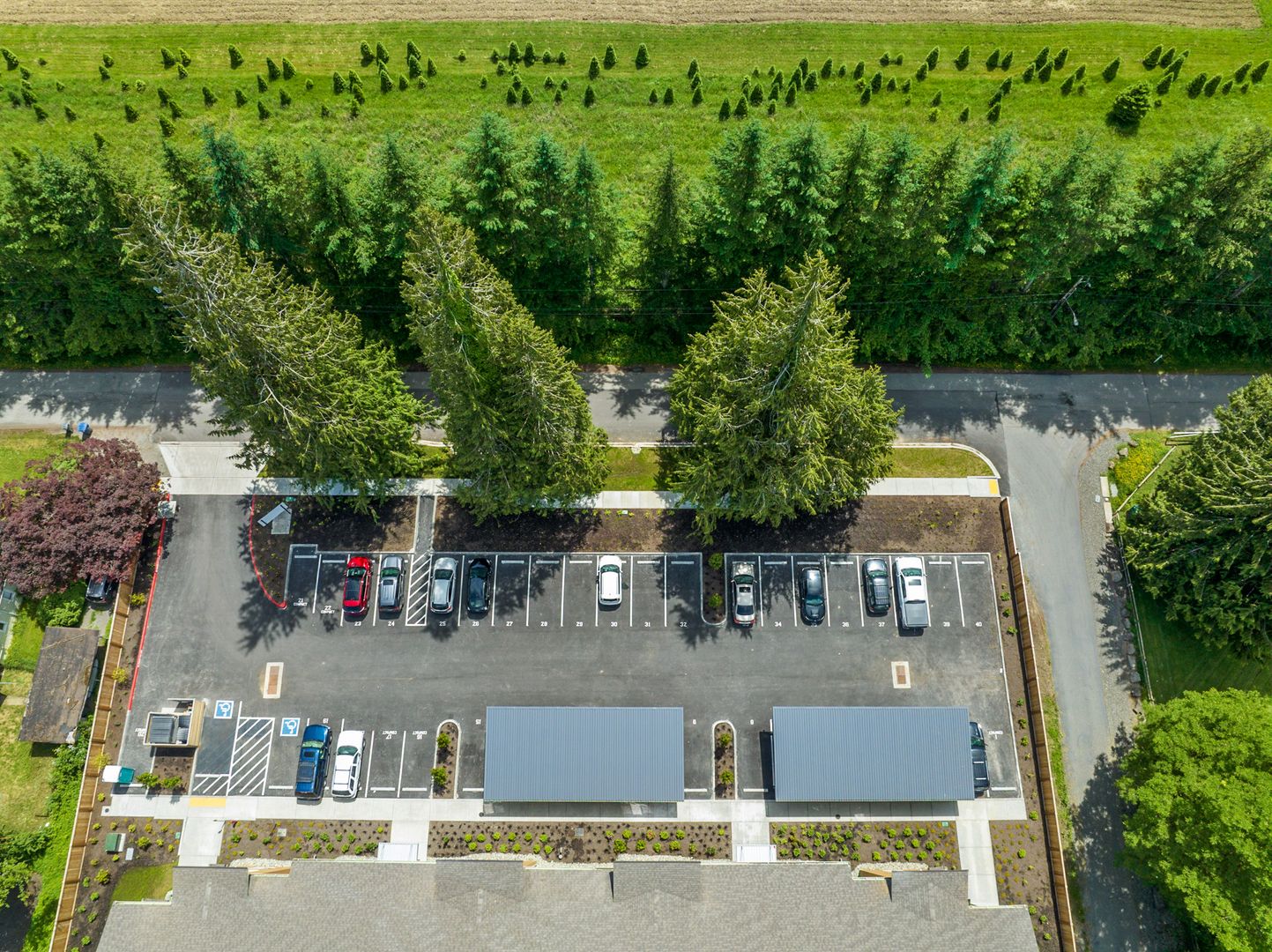 Parking at Tolt 24 (2 of 3)