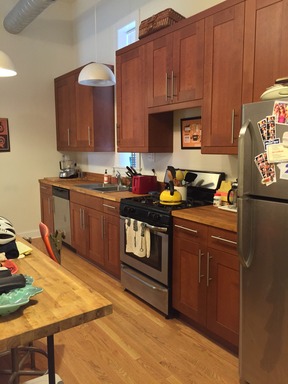 Wicker Park East large 1 Bed for October - Recent renovation – photo 1