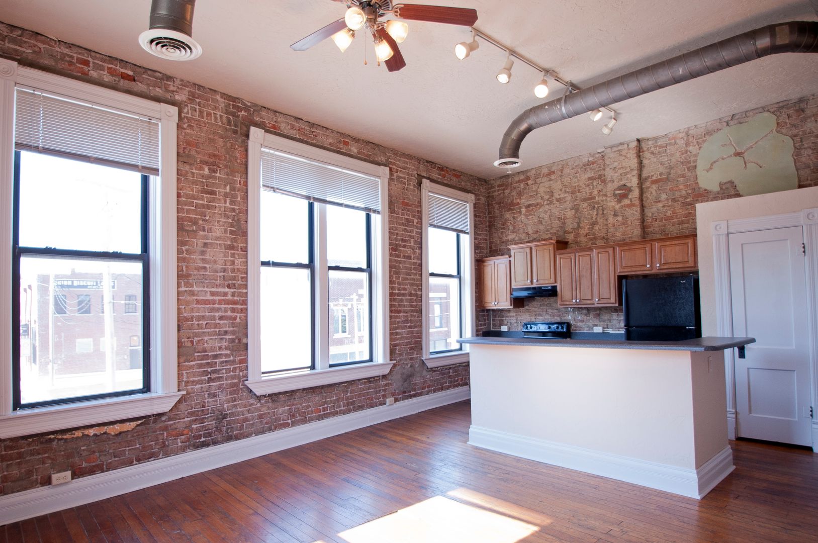 Springfield Apartment: 507 W College