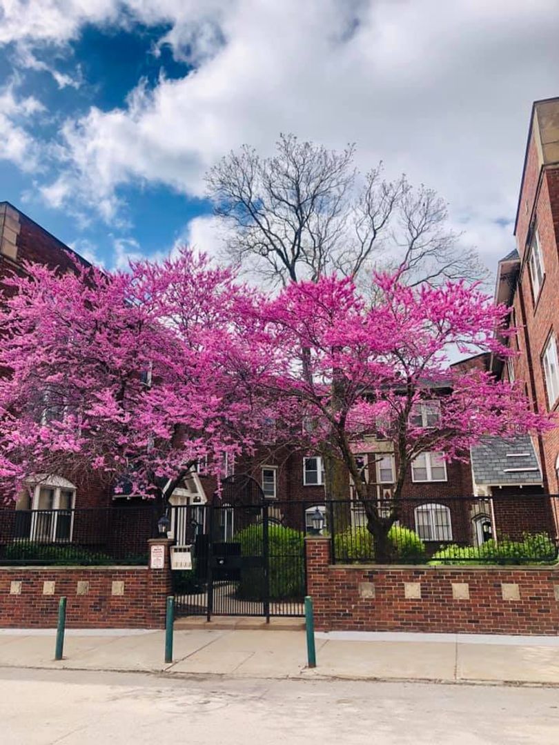 Omaha Apartment: 2221 Jones Street