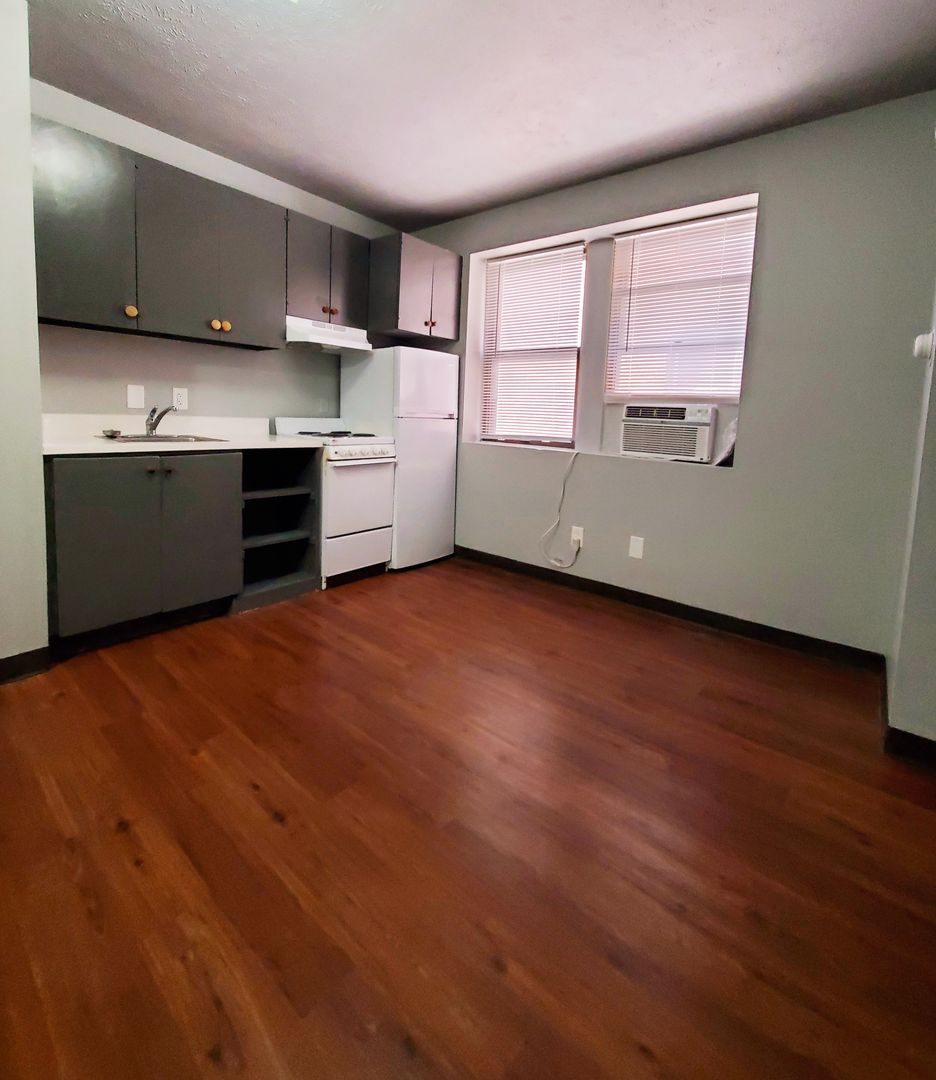 Omaha Apartment: 2209 Jones Street