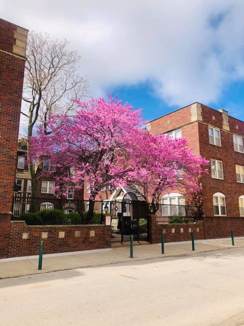 Omaha Apartment: 2221 Jones Street