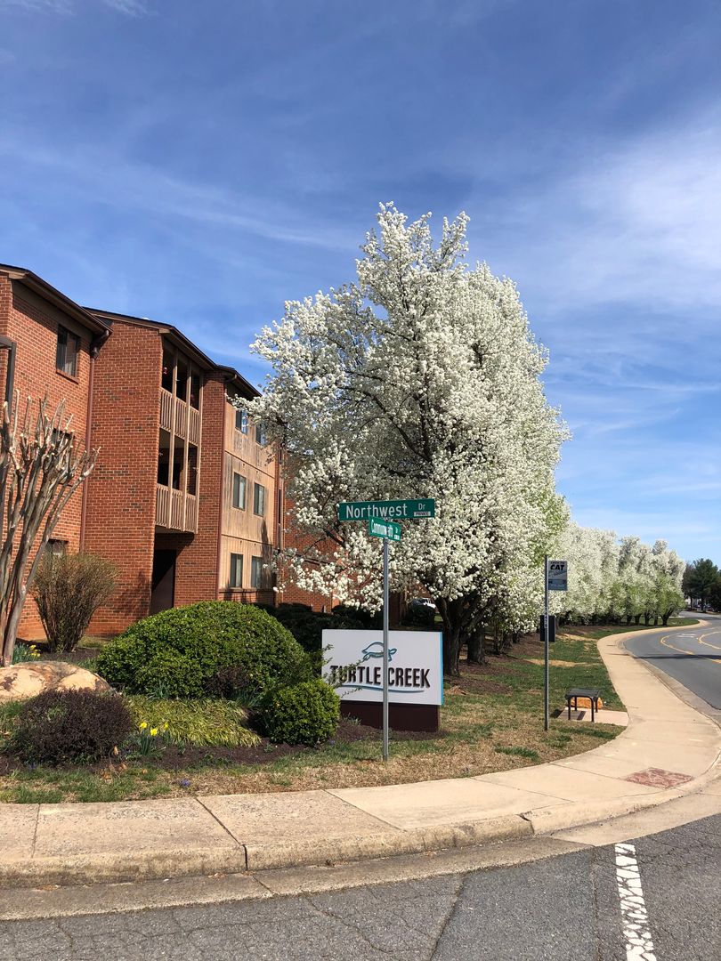 Charlottesville Condo: 138 Green Turtle Lane