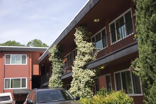 Upper 2bed/1bath free off street parking, hardwoods, bike storage, all dog friendly! – photo 1