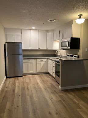 Updated 2 bedroom, off street parking, s/s appliances, all dogs welcome! – photo 1