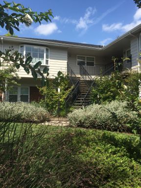 Upper 2bed, a/c, dishwasher, onsite laundry, all dogs welcome! – photo 1