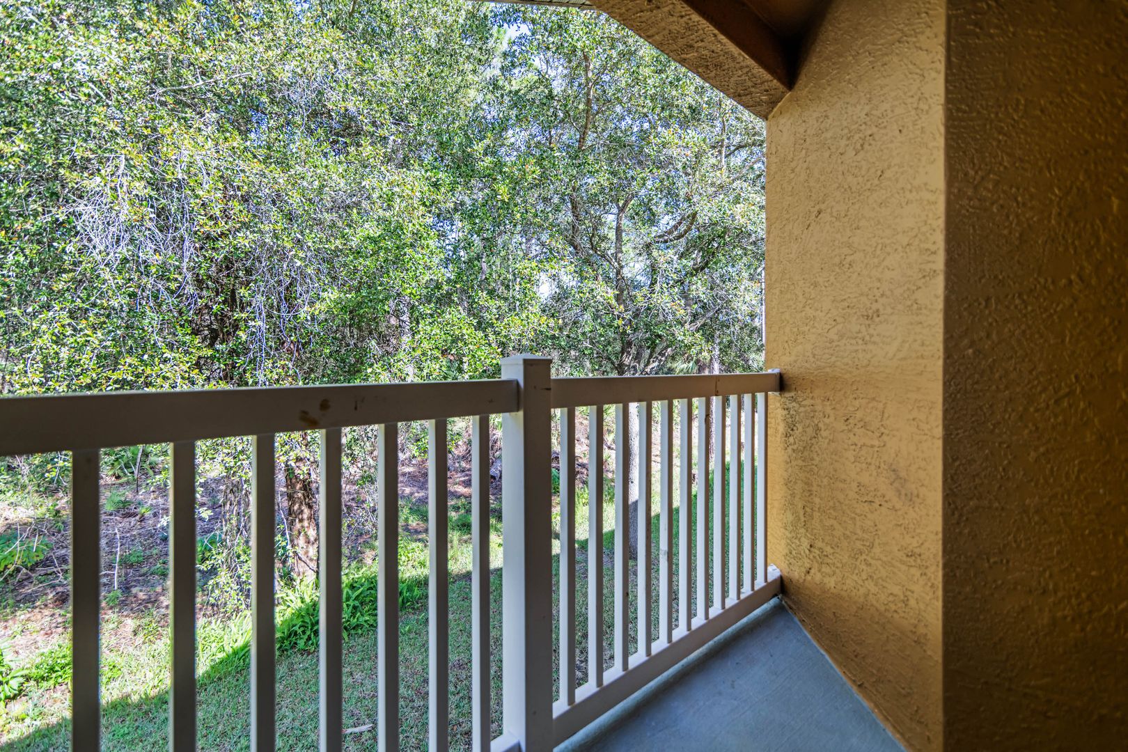 Palm pointe 12 of 12