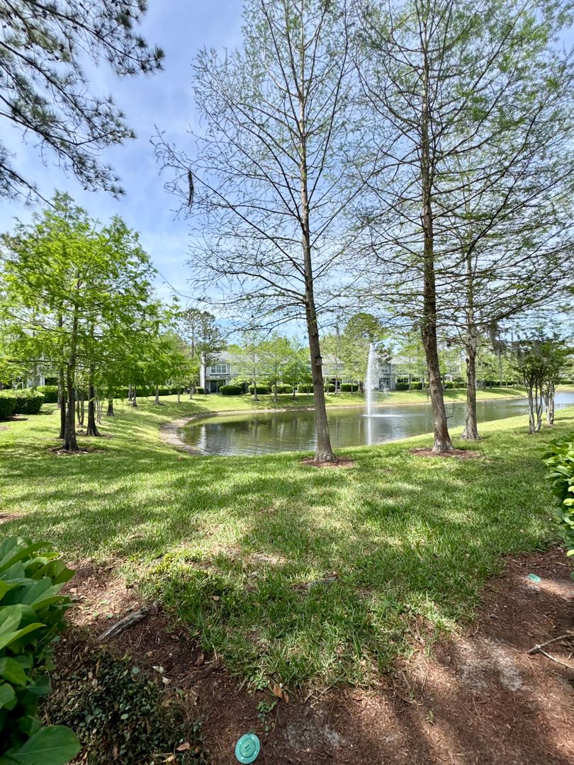 Jacksonville Townhome: 3435 Nightscape Cir