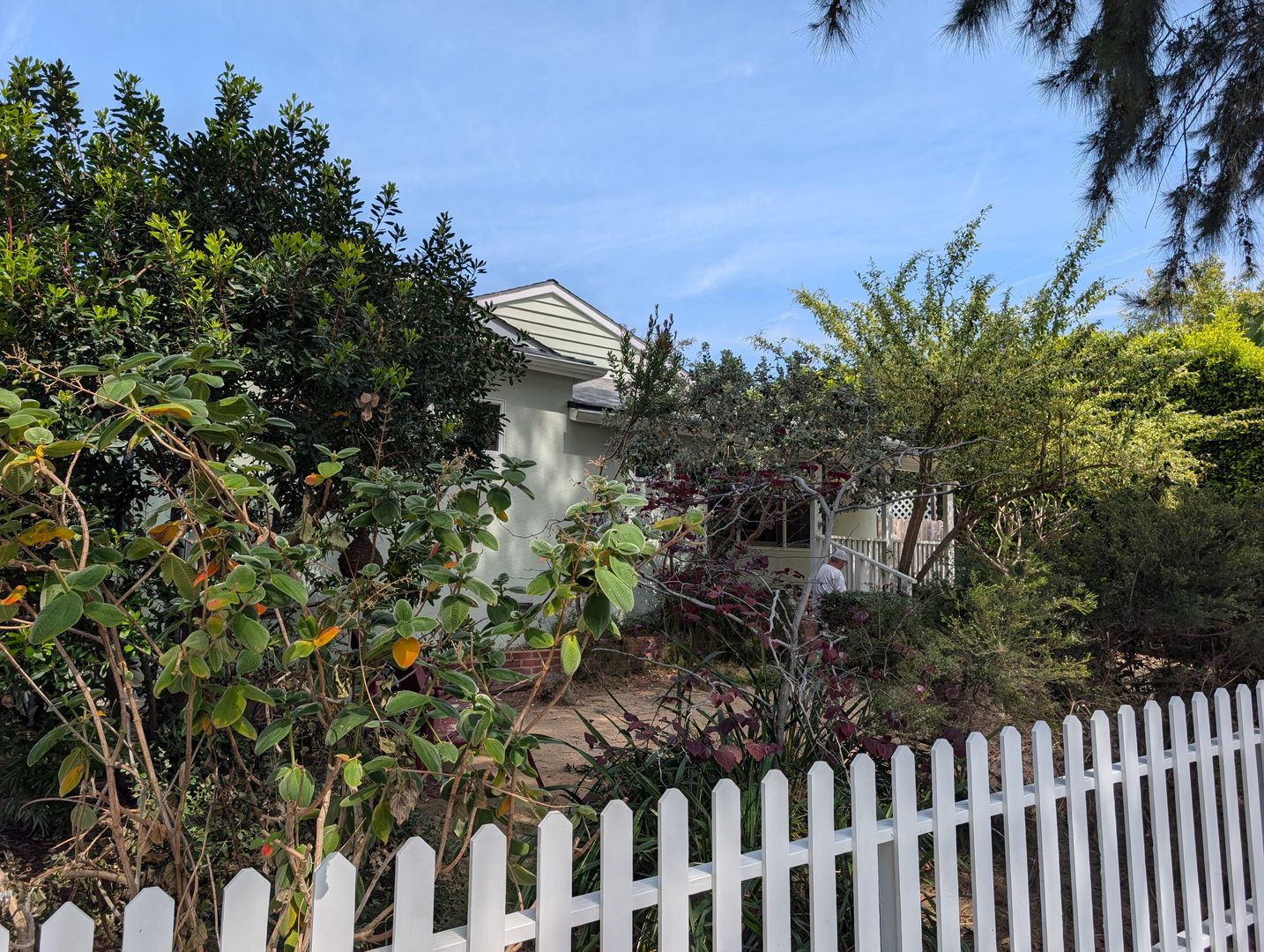 Santa Monica Apartment: 1043 Pacific St