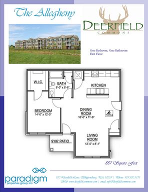 One Bedroom Allegheny