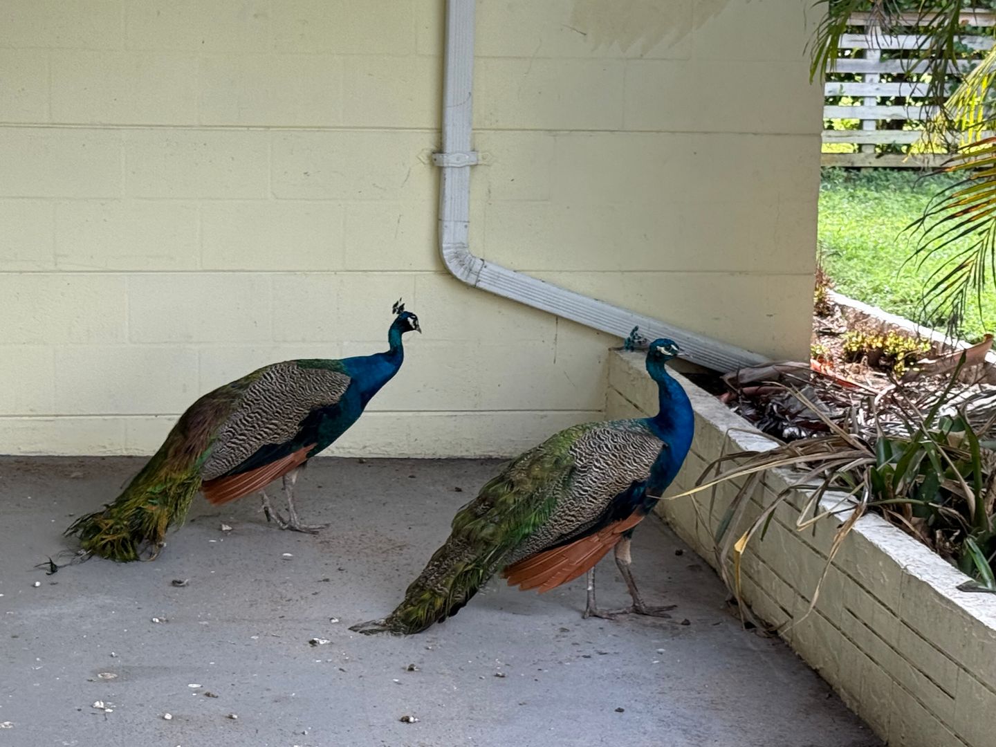 Jensen Beach House: 1401 NE Elizabeth Ave