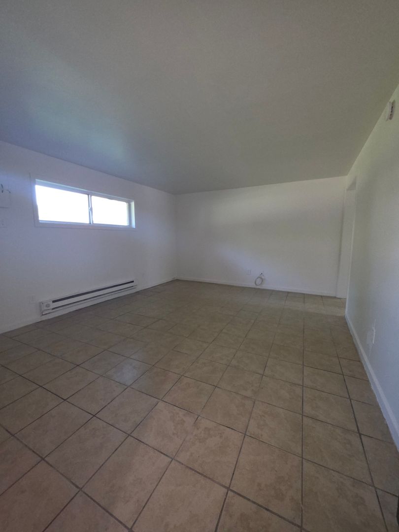Elmira Apartment: 511 W WATER ST