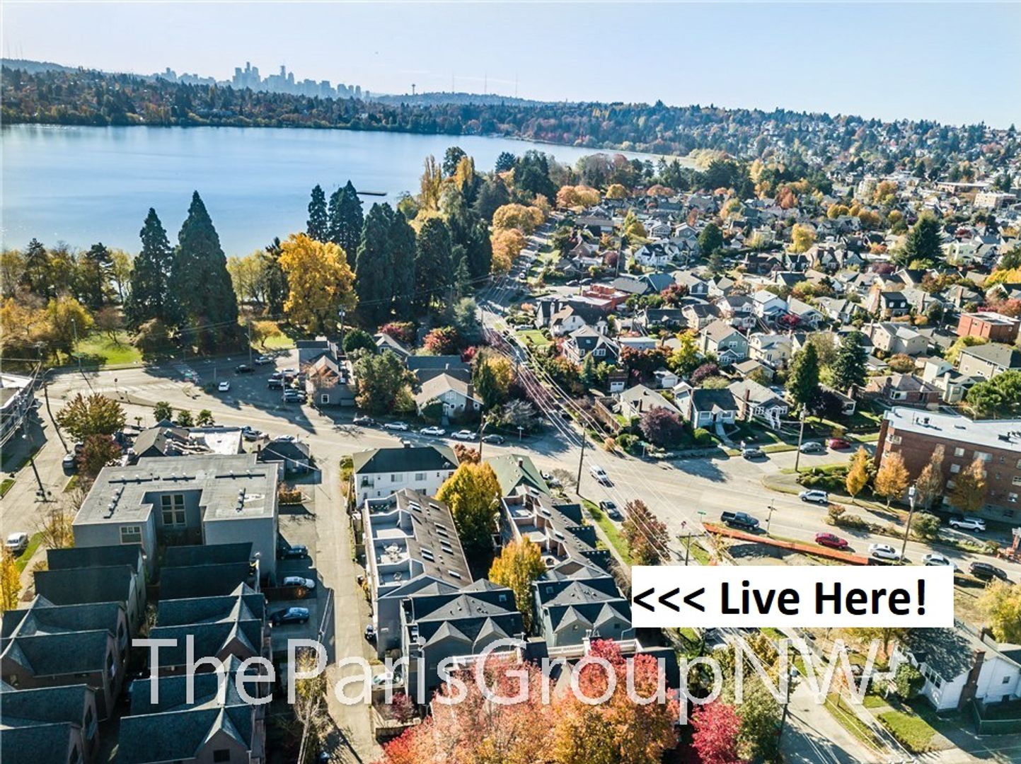 Seattle House: 7920 Ashworth Ave N