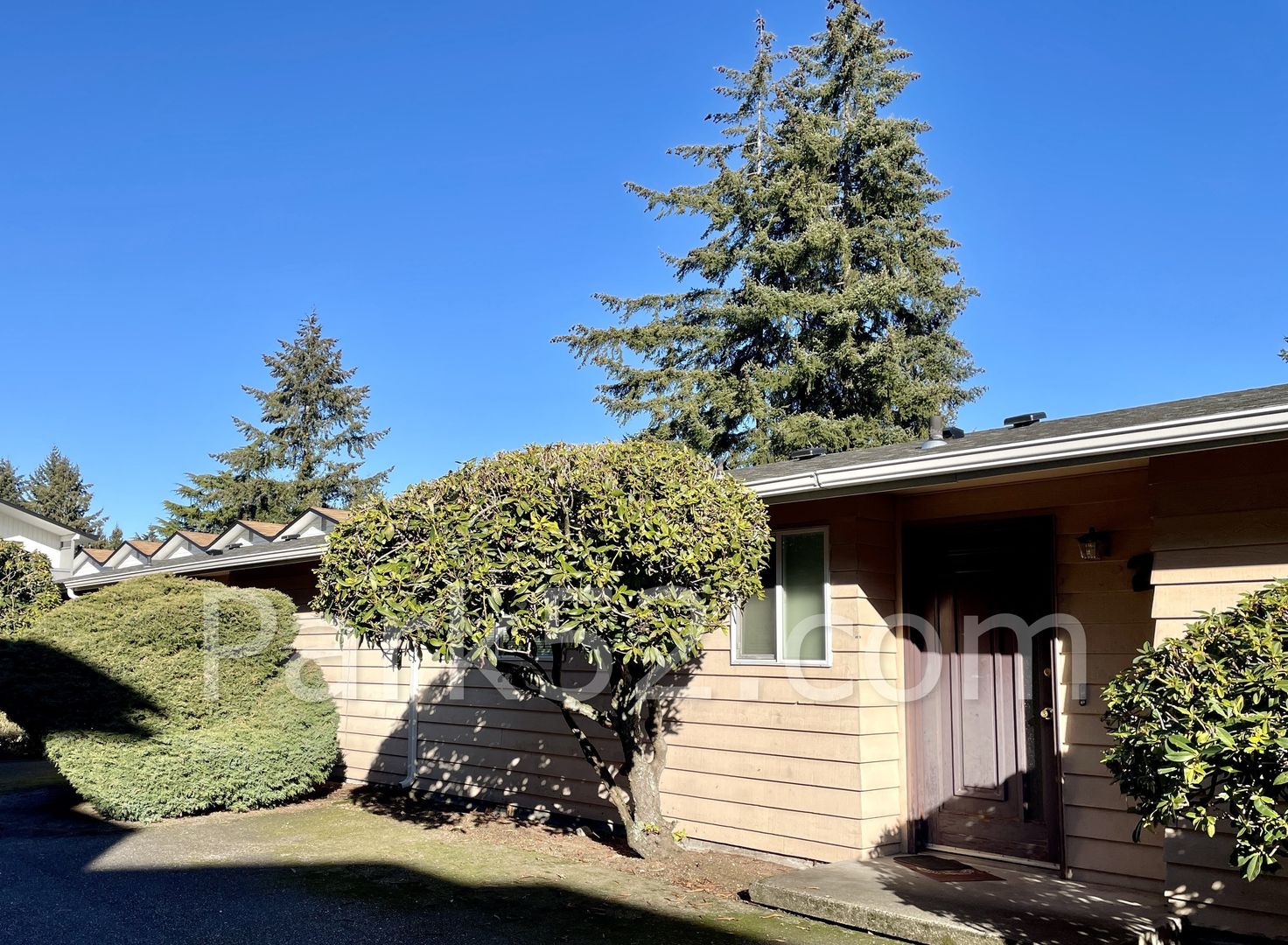 Fircrest Apartment: 1442 Rainier Dr #2