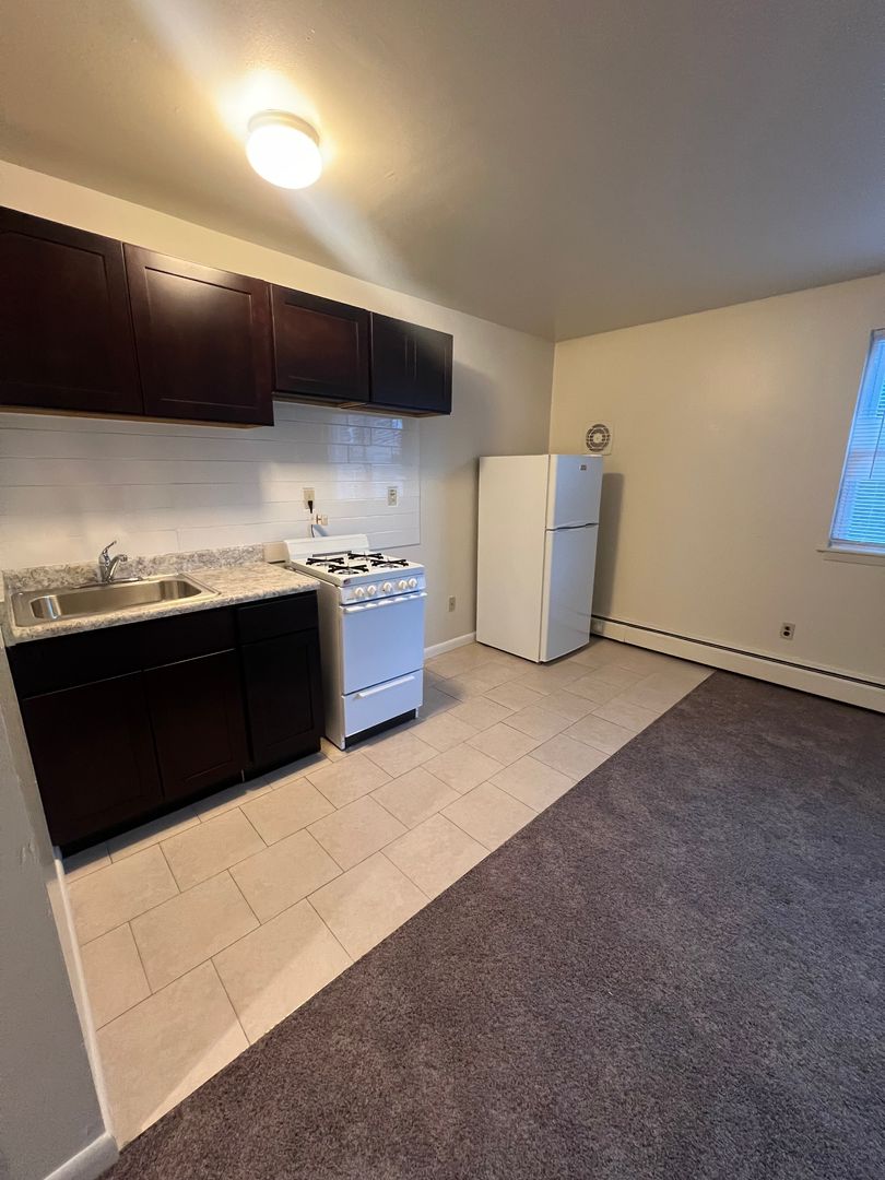Allentown Apartment: 117 South 4th Street