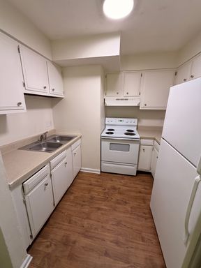Spacious Pet-Friendly 1-Bedroom — Heat, Water and Trash Included – photo 1
